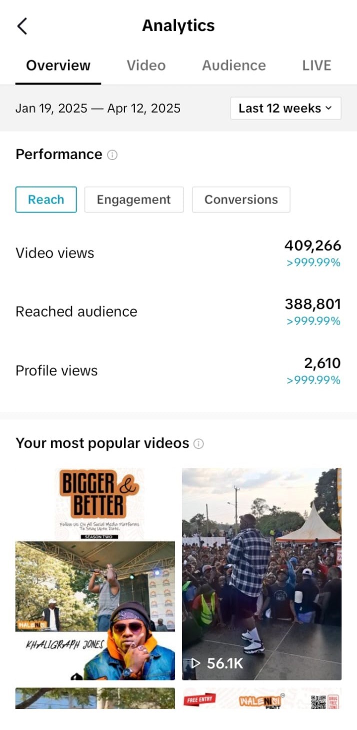 Walenisi TikTok ads results