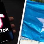 Wingu Creatives – Best TikTok Ad Agencies in Somalia