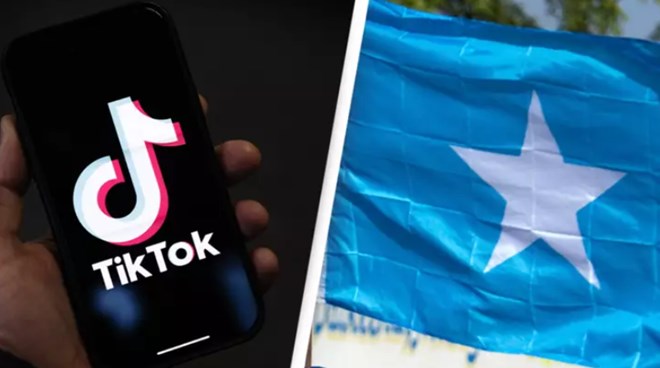Wingu Creatives – Best TikTok Ad Agencies in Somalia