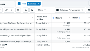 Walenisi Fest Sn 2 Meta ads results