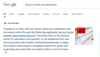visa assistance agencies